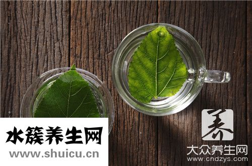 桑葚葉