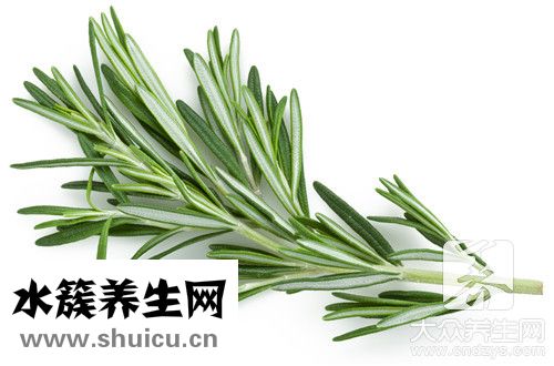 蒿子稈