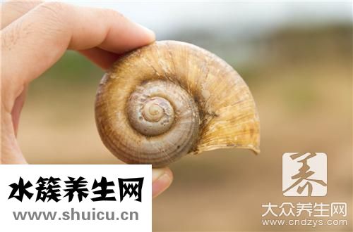 麻辣釘螺