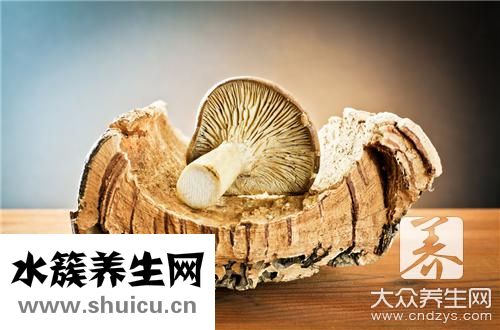 白參菌