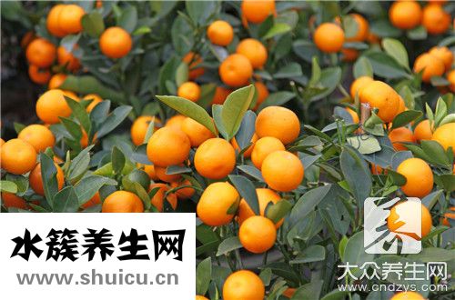 孕婦想酸好