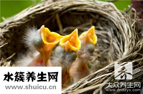 孕婦多燕窩害處