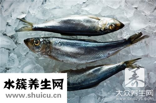 鱸魚燉湯