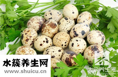 鵪鶉蛋害處