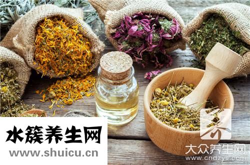 小黃草石斛