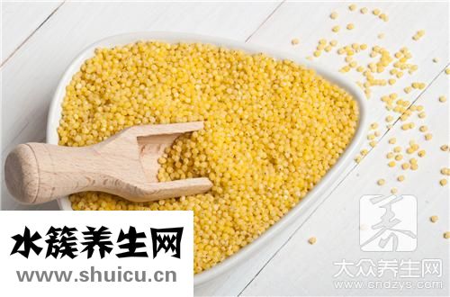 小米跟煮粥最營養