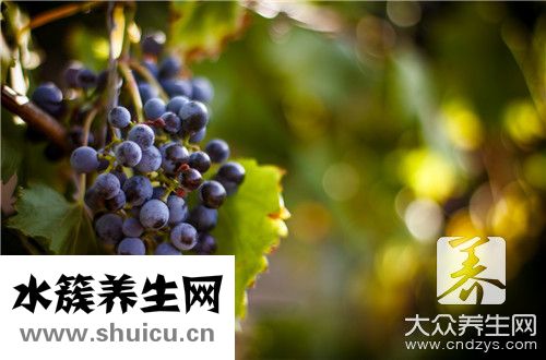 葡萄季節
