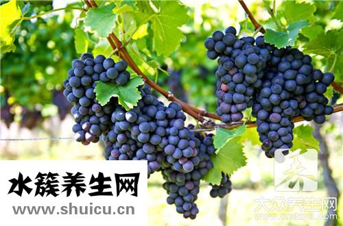好紅酒