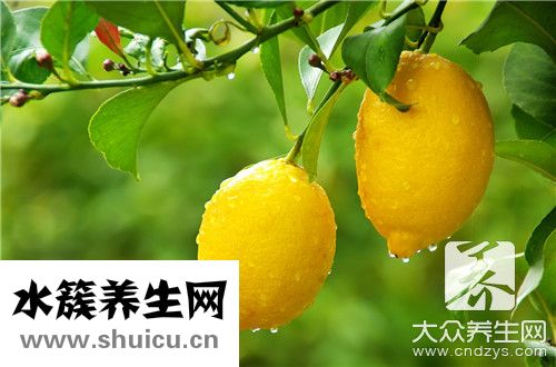 蜂蜜和檸檬