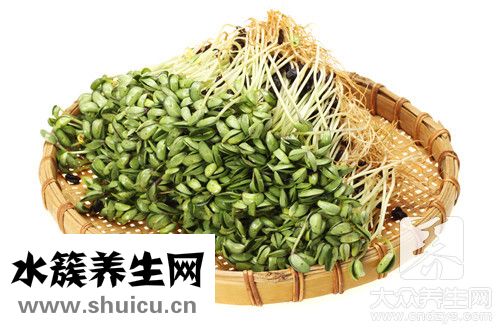生綠豆芽