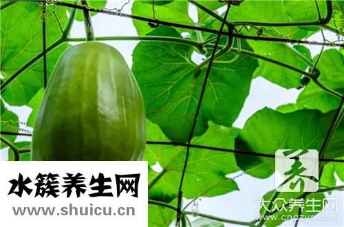 冬瓜瘦肉湯