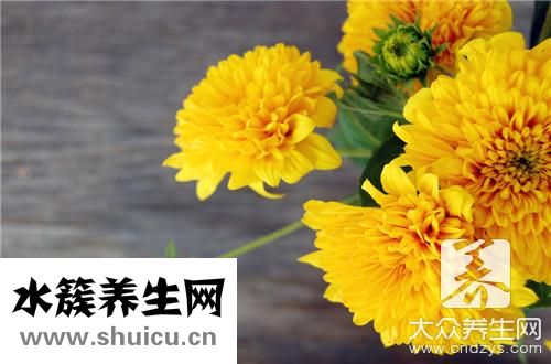 經期可以喝菊花茶嗎