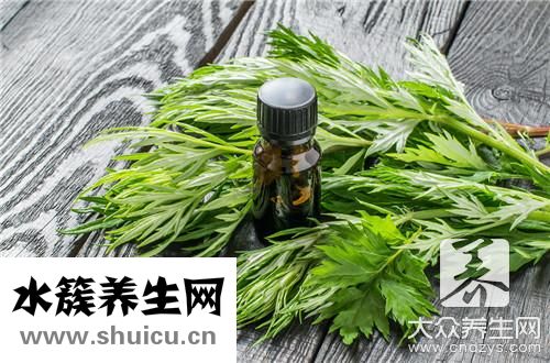 新鮮艾葉