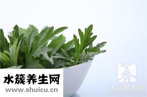 新鮮艾葉