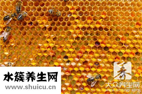 蜂皇漿和蜂蜜區別