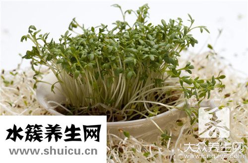 豆芽炒