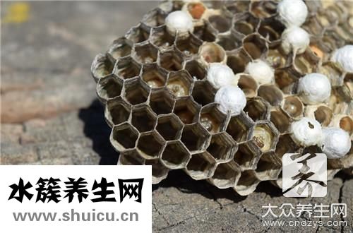蜂蠟功效