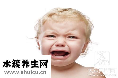 紫薯餅法