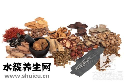 靈芝法