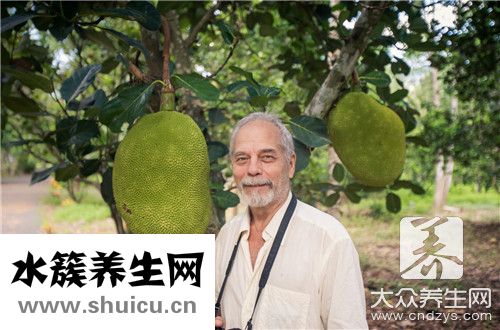 菠蘿蜜品種