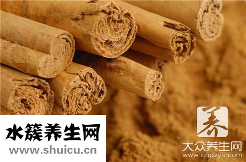 大紅袍肉桂