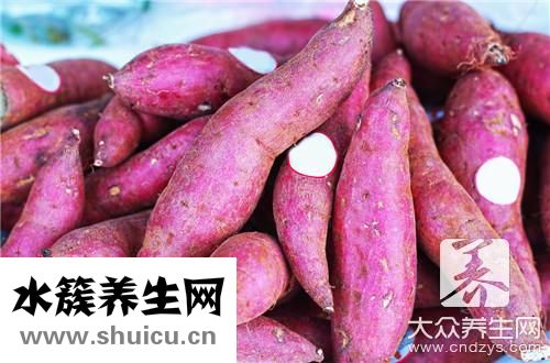 紫薯發芽