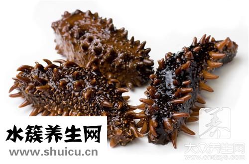 海參哪個好