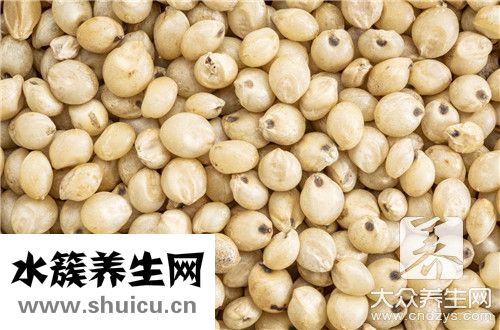 高粱釀酒技術
