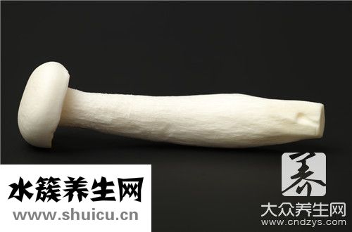 雞肉炒蘑菇
