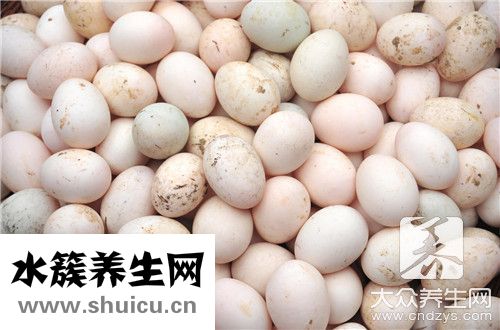 酸奶和雞蛋能起嗎
