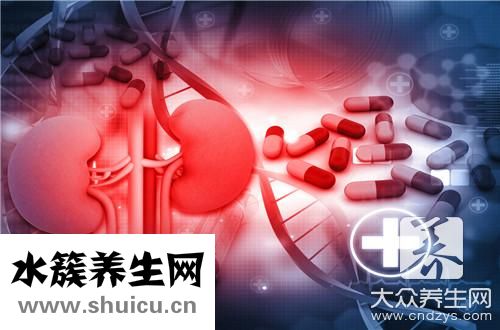 補腎效果最好