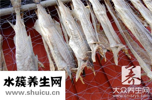 八爪魚爆頭大米是