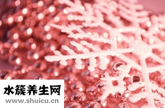 消化酶膠囊