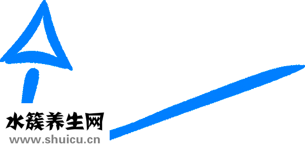 乳房下垂手術