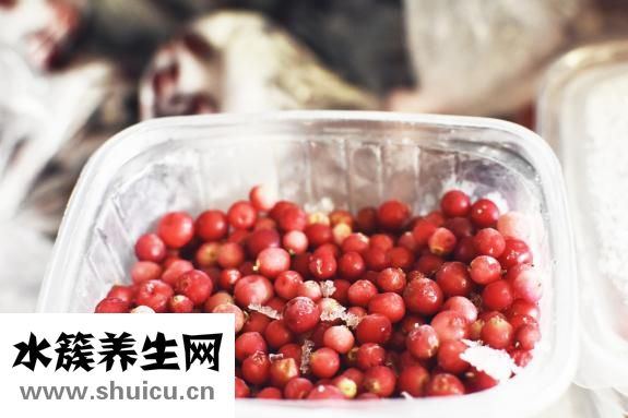 山烏龜圖片