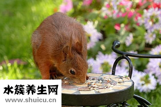缺血性中風