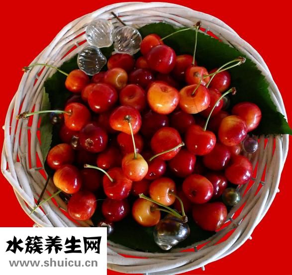 怎樣護肝養肝