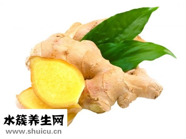 針灸減肥食譜
