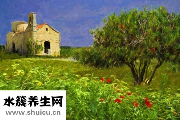 要怎么備孕