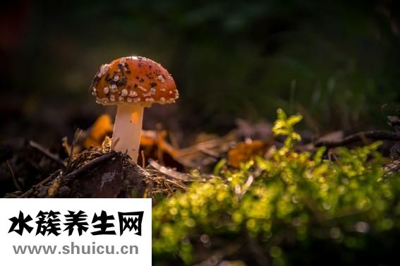 八寶菜的做法