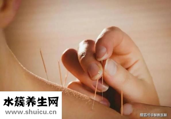 針灸減肥食譜