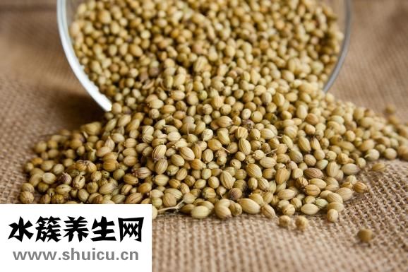 什么湯最鮮