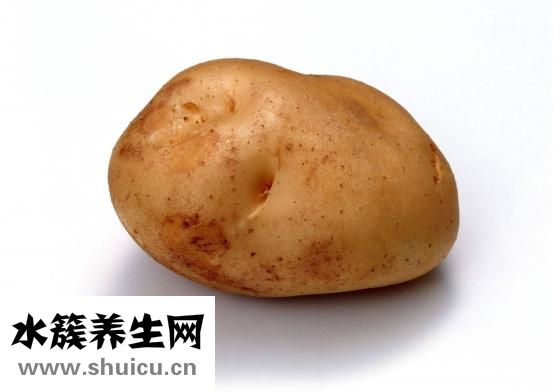 素炒西葫蘆