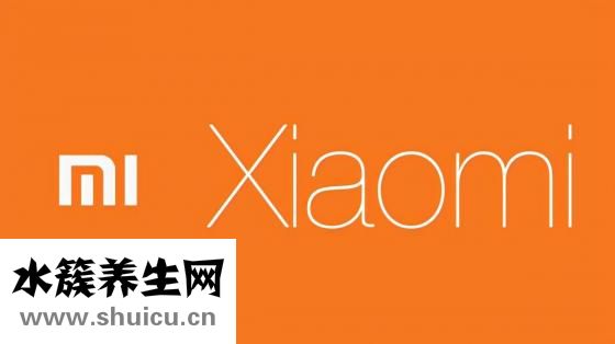 孕婦早餐食譜