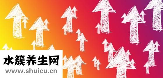 四維幾個月照