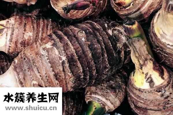 芋頭發芽可以吃嗎