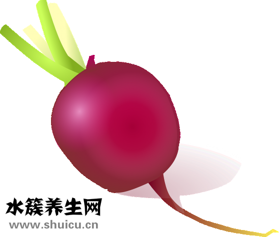爽口蘿卜皮