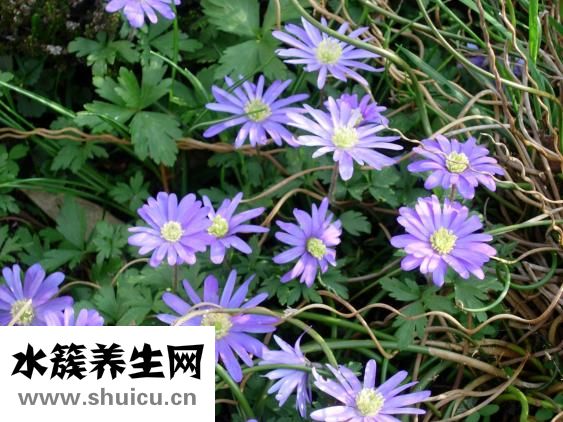 豐胸后遺癥