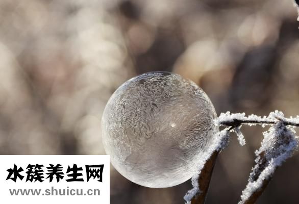 體寒吃什么
