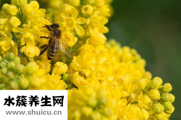 怎樣去咖啡斑
